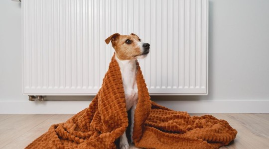 ¿Cuál es la calefacción eléctrica ideal para mi casa?